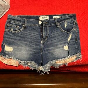 Day trip Shorts from Buckle